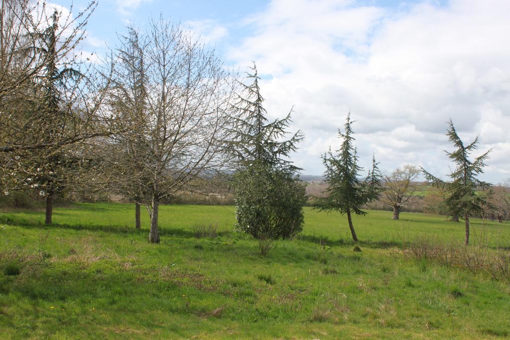 La Grande Maison De Pont Lung Ygrande Εξωτερικό φωτογραφία